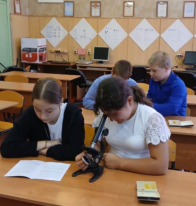 Урок биологии в 6 классе. Тема «Изучение строения растительных тканей».