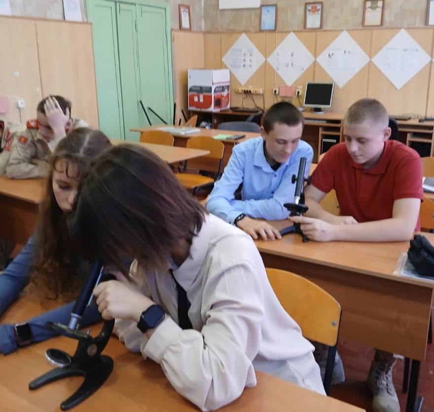 Лабораторная работа «Микроскопическое строение крови человека и лягушки».